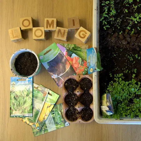 Looming Hostel Tartu