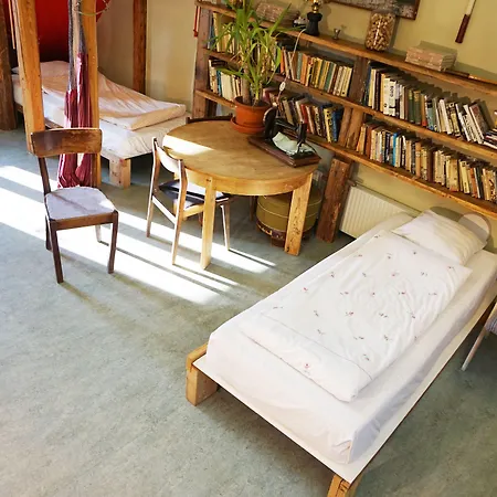 Looming بيت شباب