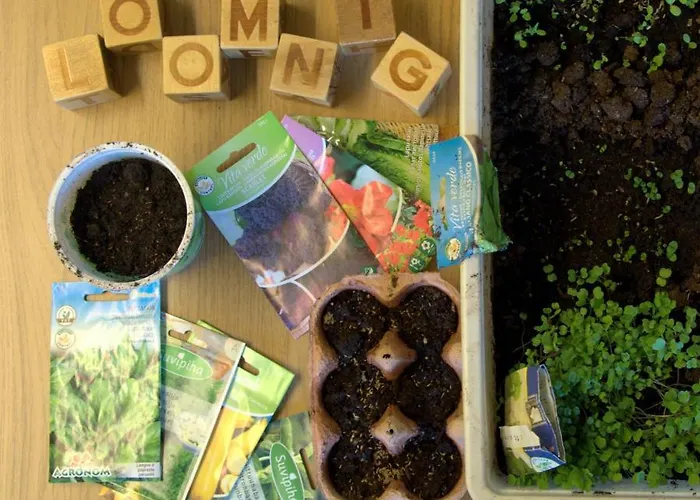 Looming Hostel Tartu