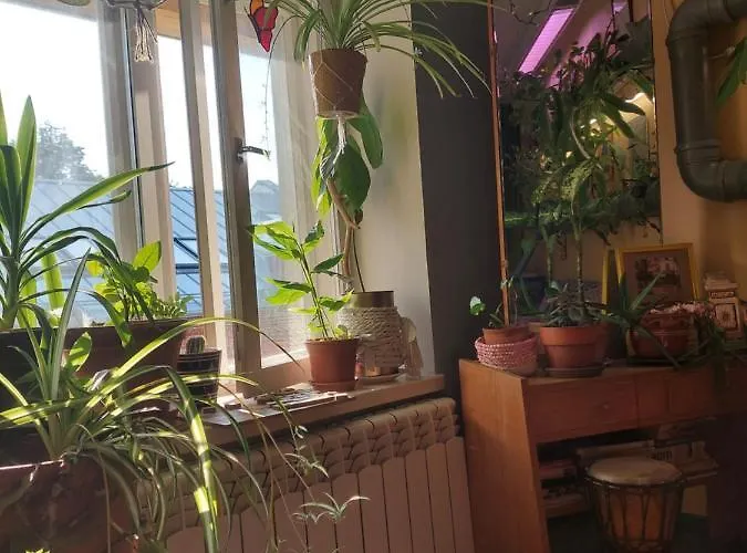 旅馆 蜃景旅馆 *