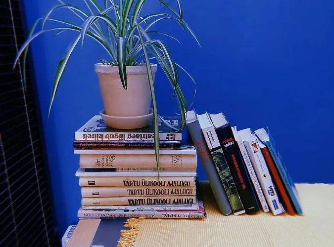 蜃景旅馆 旅馆 *