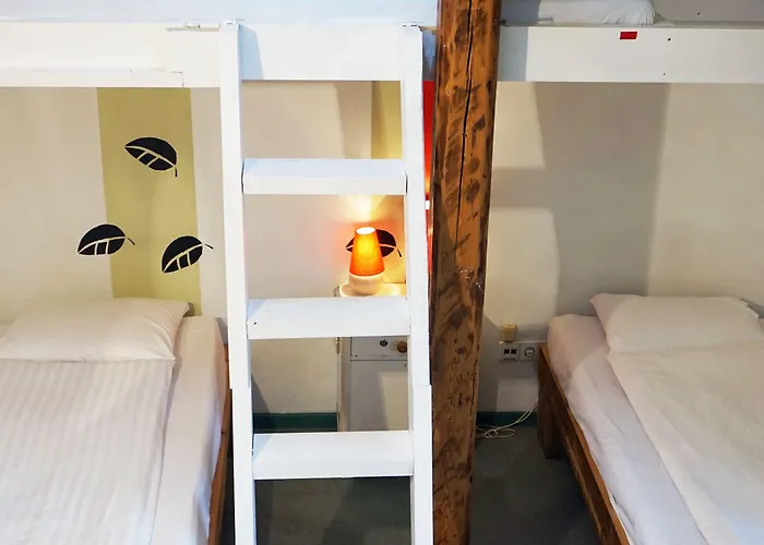 بيت شباب Looming *